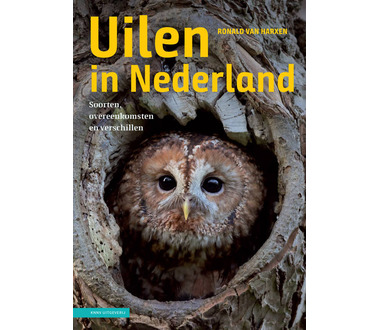 knnv_uitgeverij_uilen_in_nederland[1].jpg